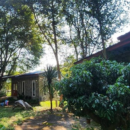 Rimtharnn Homestay Maewin Mae Wang Exteriör bild