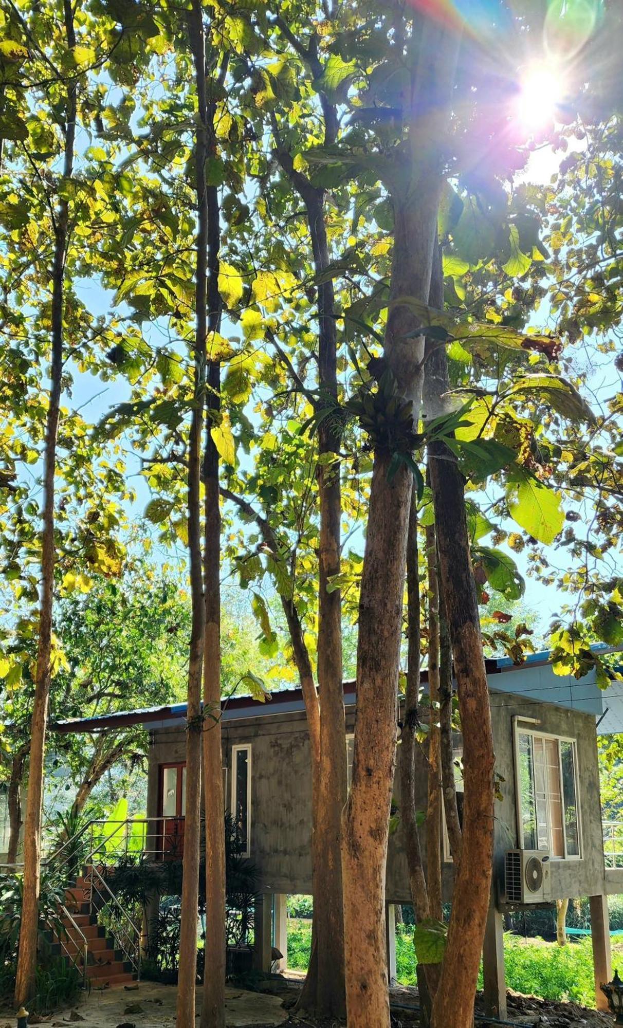 Rimtharnn Homestay Maewin Mae Wang Exteriör bild
