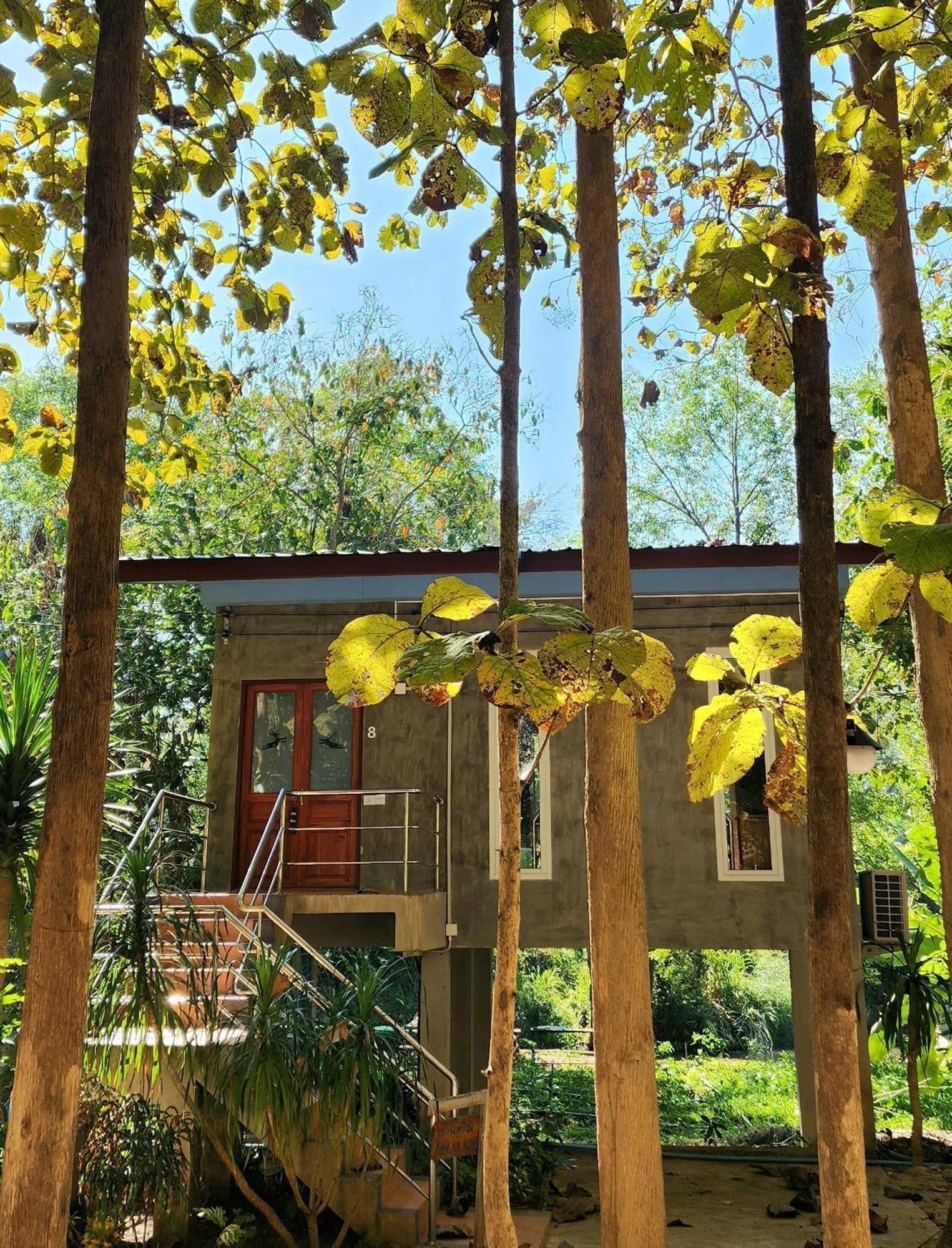 Rimtharnn Homestay Maewin Mae Wang Exteriör bild